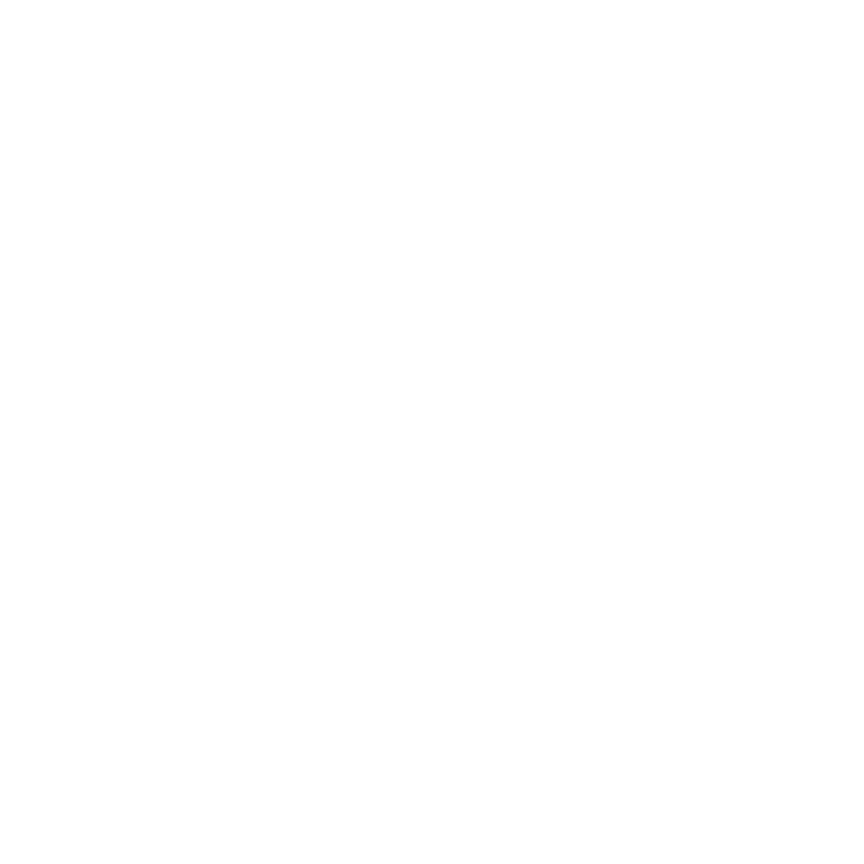 Rudmin Drones Logo